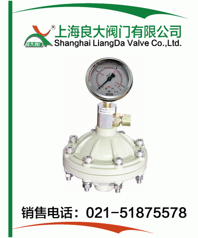 PP、PVDF脈沖阻尼器