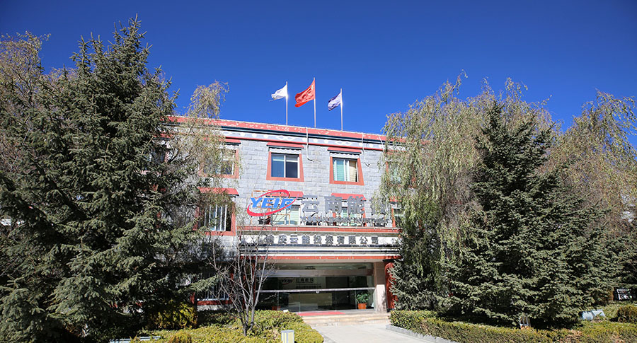 黨建融入經(jīng)營，提高工作效能-云南能投居正產(chǎn)業(yè)投資有限公司